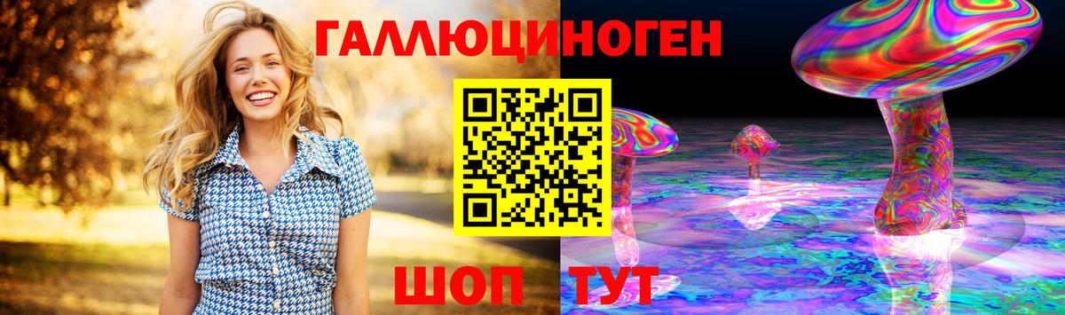Псилоцибиновые грибы Psilocybe  Вход с VPN  Камышин 